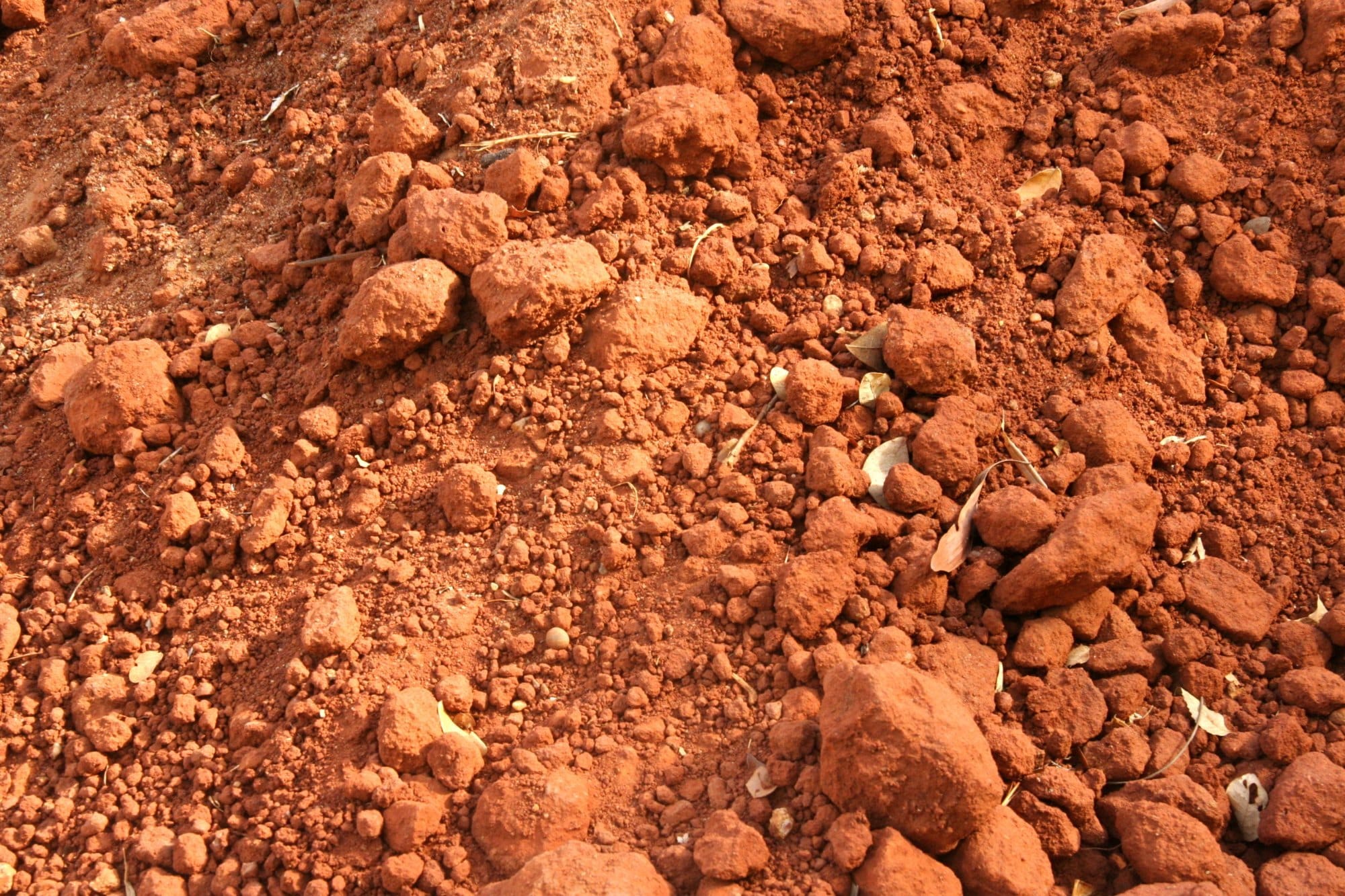 Murrum Soil view 2